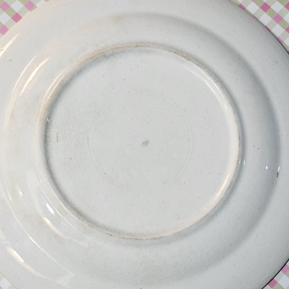 Vintage Plate with Flowering Tree Design - Picture 6 of 13